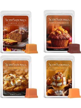 Fall Wax Melts 4pk - Pumpkin Spice, Marshmallow, Caramel, Long Lasting Scent